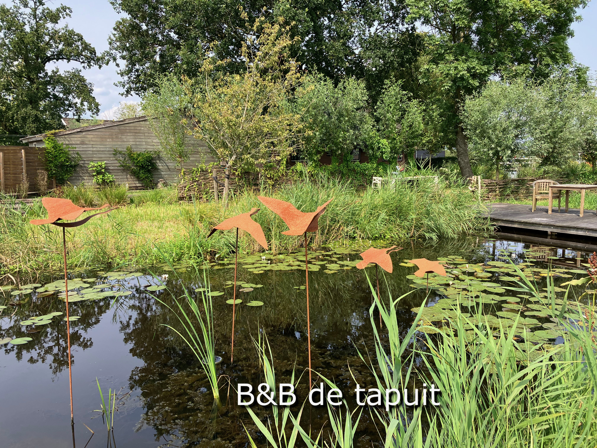 gans/wilde eend (vliegend)